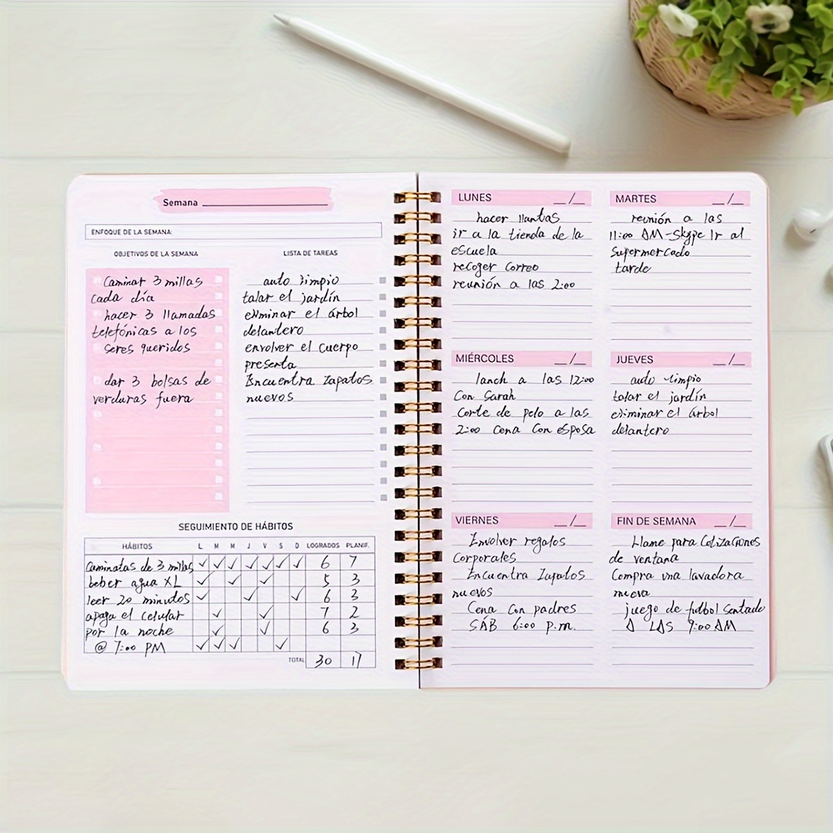 52 Week English Weekly Planner - Meal Prep Planner recension och pris